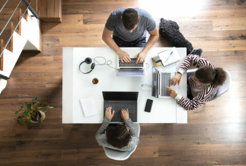 view from above of young people working with the computer at a white desk with a dog sleeping in an interior space. study concept, work from home concept